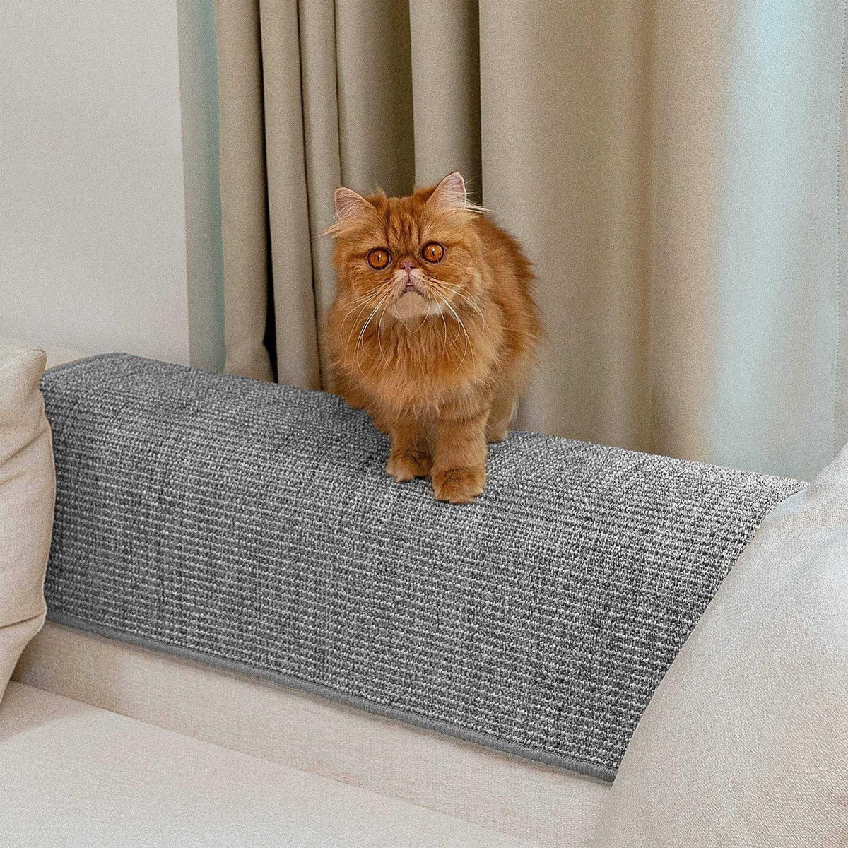 Natural Sisal Cat Scratcher Mat V933360