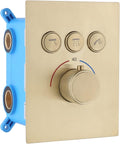 Brass Thermostatic Shower Mixing Valve with Diverter, Polished Chrome S66509