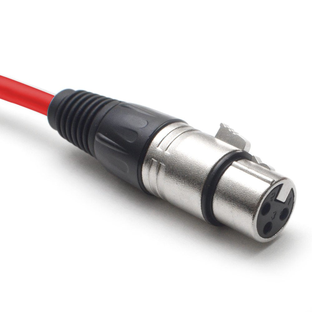 12 Channel XLR Snake Cable 100 Feet I3653