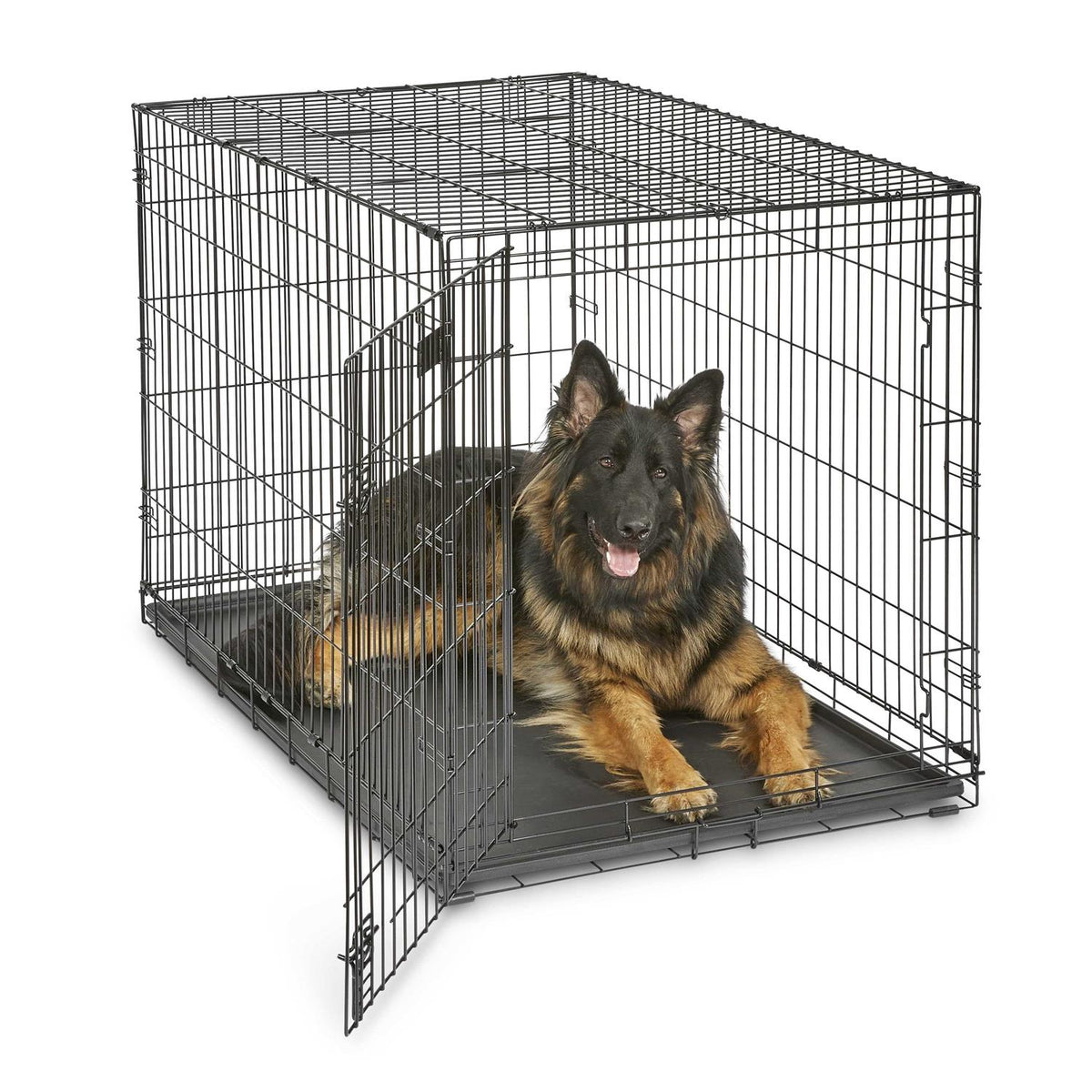 Double Door Dog Crate K993285
