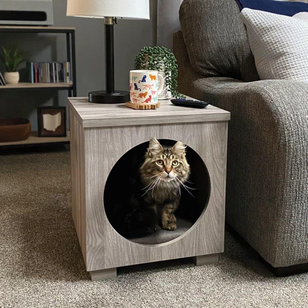Light Walnut Pet Bed Side Table Combo Y2415