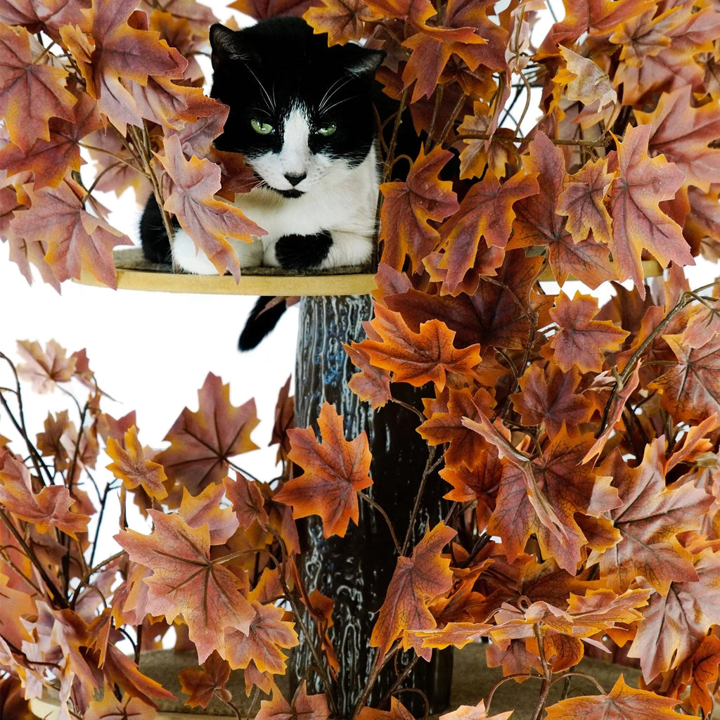 Plum Autumn 60-in Square Cat Tree I8886