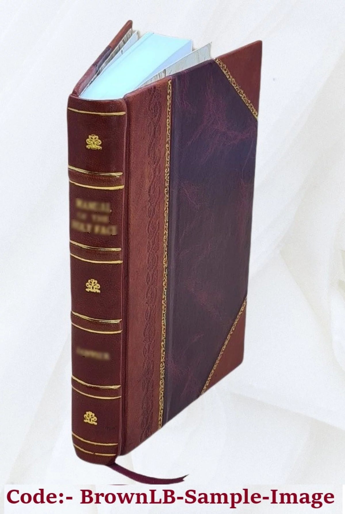 Guide to the West Indies, Madeira, Mexico, New Orleans, northern South-America I685