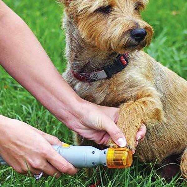 Pet Nail Trimmer W438