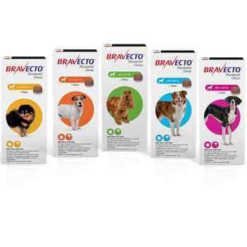 Bravecto Chews for Dogs L834