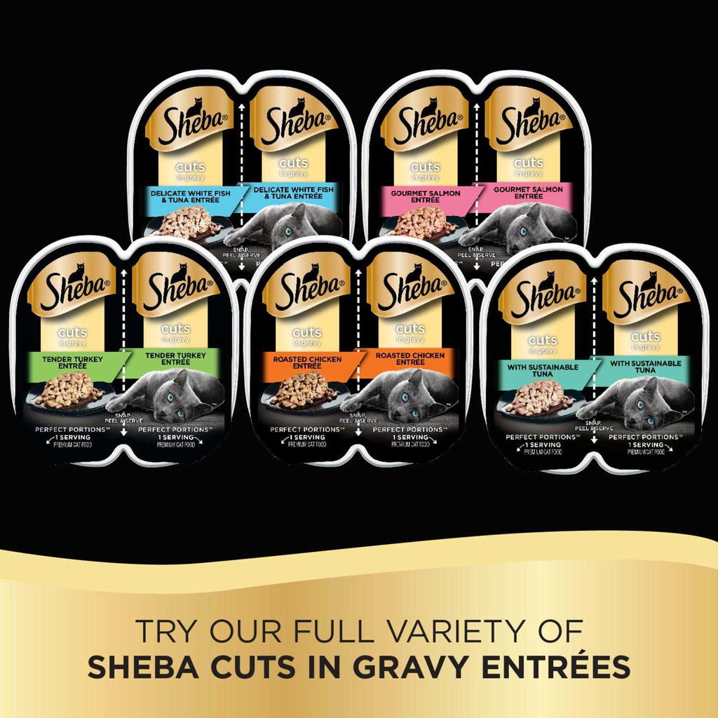 Cuts in Gravy Pet Supplies O204260