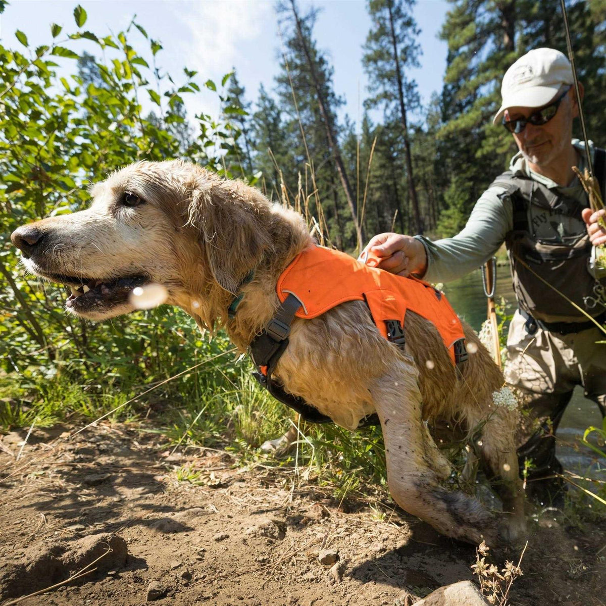 Web Master Dog Harness P117