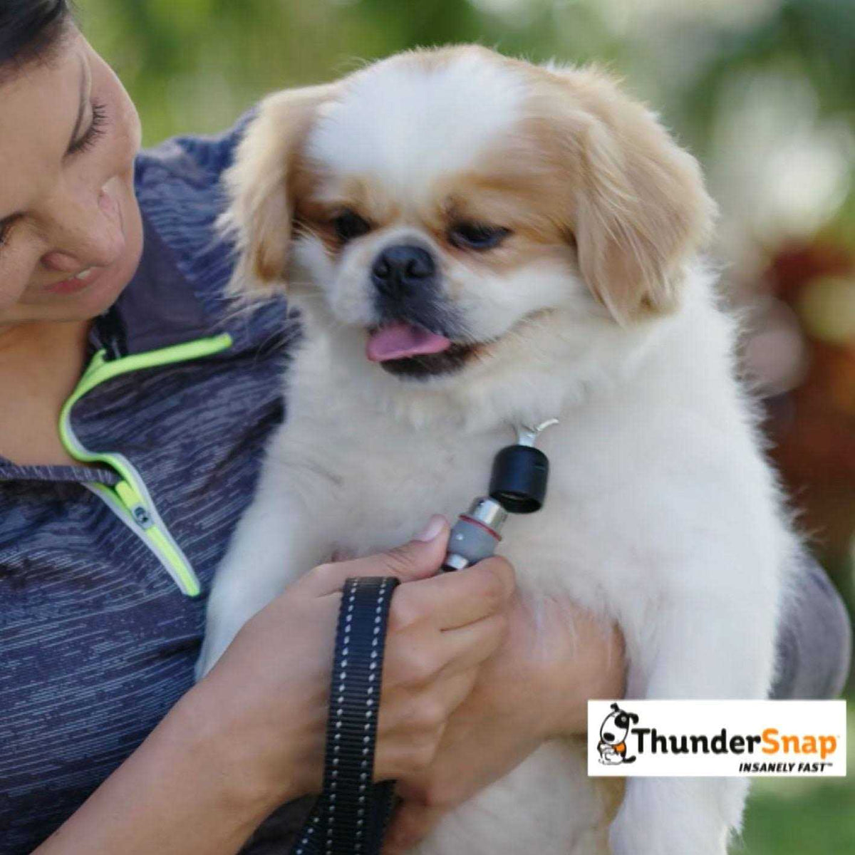 Quick-Connect Dog Leash E584223
