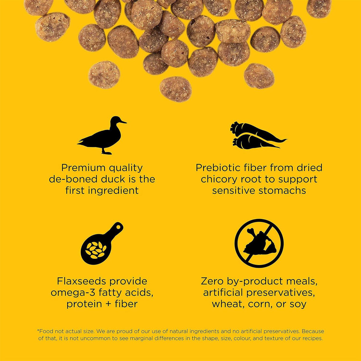Limited Ingredient Duck Recipe Dry Cat Food A708