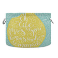 Large Collapsible Storage Basket with Handle, 20x20x14 in E85236