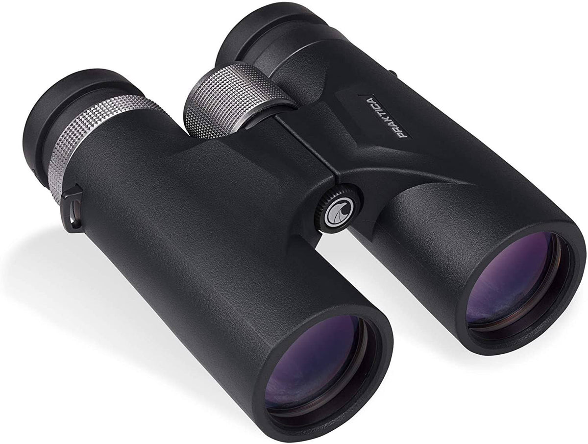 8x42 Binoculars Black V964424