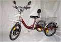 Electric Tricycle I808734