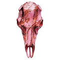 Pink Camo Kit X42439