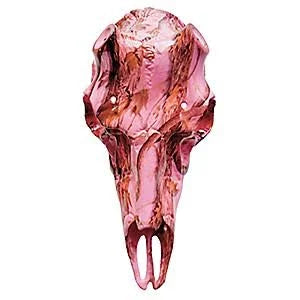 Pink Camo Kit X42439
