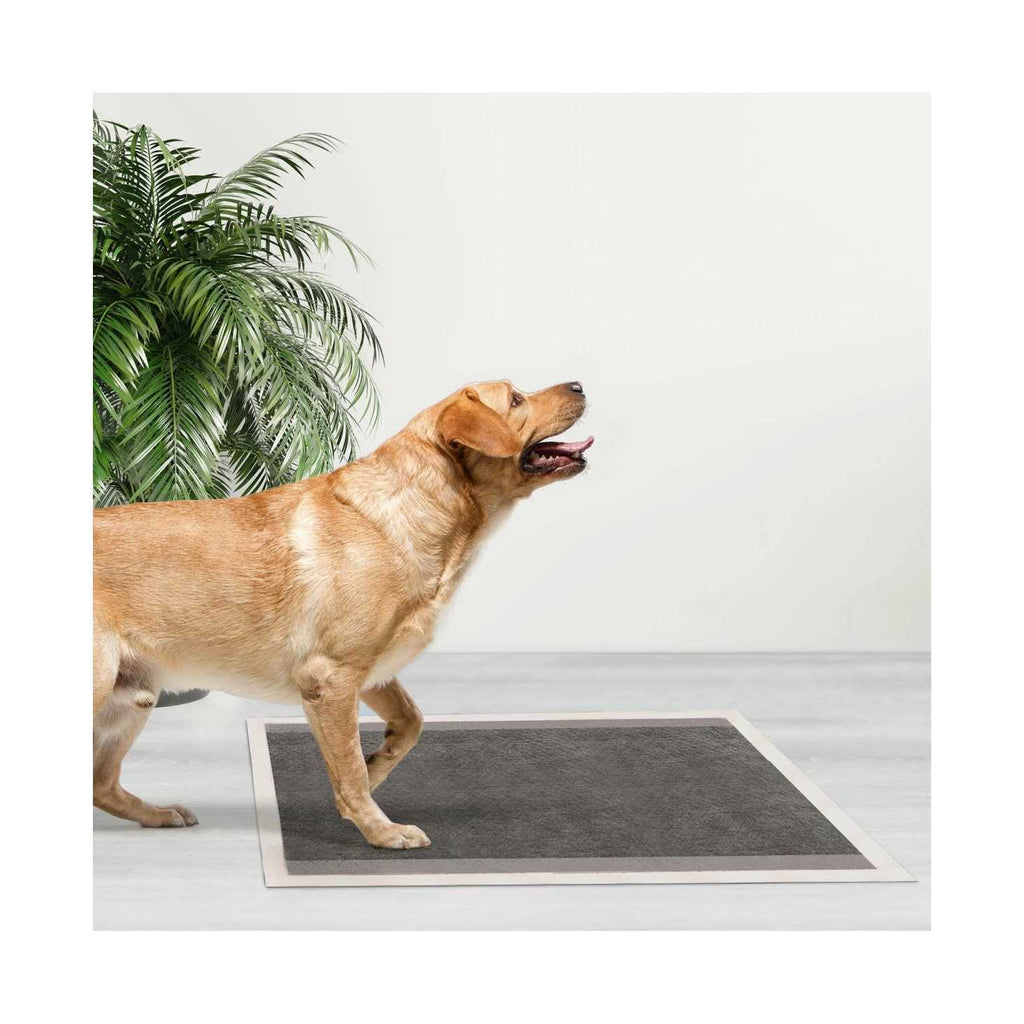Dog and Puppy Pee Pads Leak-Proof K722