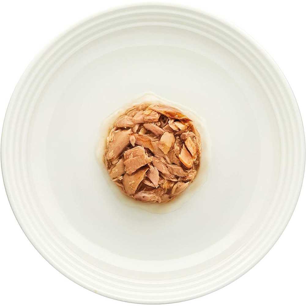 Gravy Tuna Fillet Grain Free Cat Food J9055