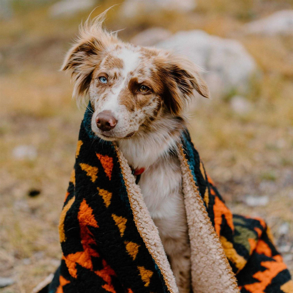 Sherpa Fleece Waterproof Blanket H6891