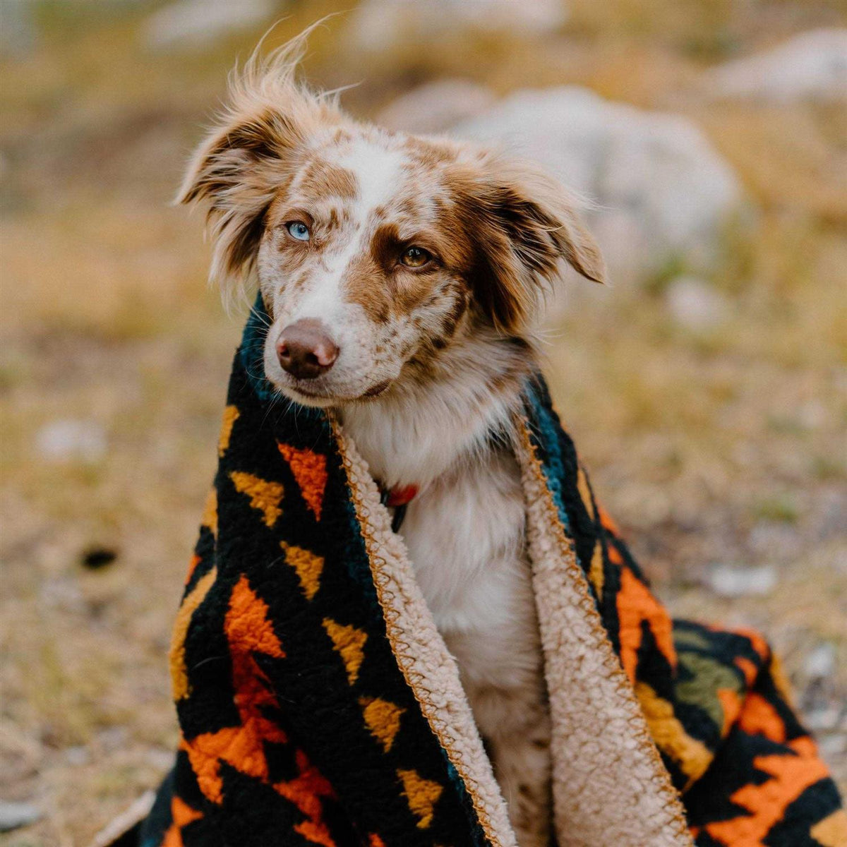 Sherpa Fleece Waterproof Blanket H6891
