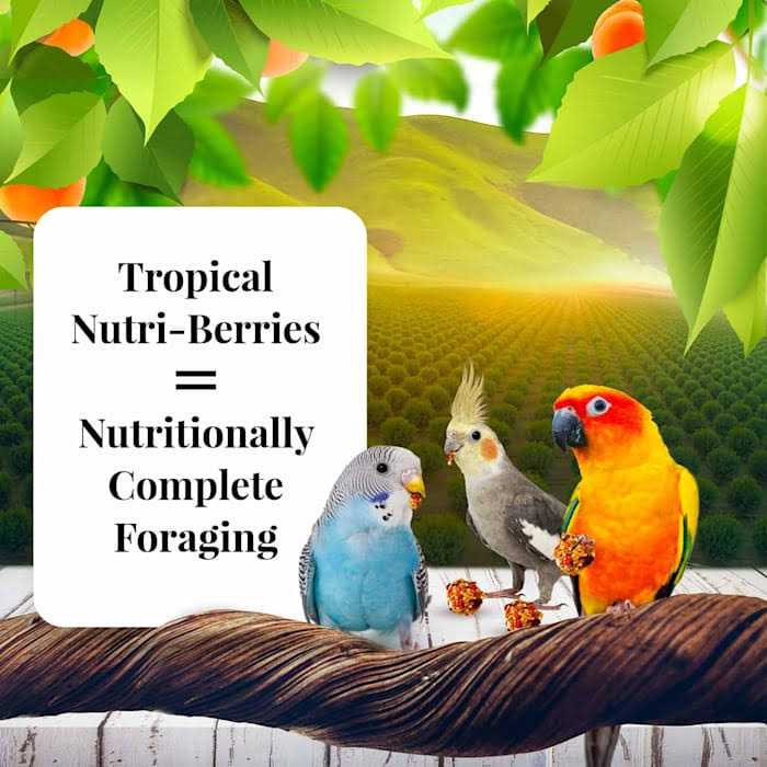 Sunny Orchard Pet Supplies P159705