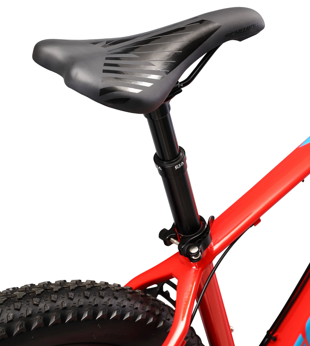 29 inch Mens Mountain Bike, 17 inch Frame Blue V19825
