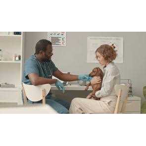 Calming Supplement for Dogs & Cats R553