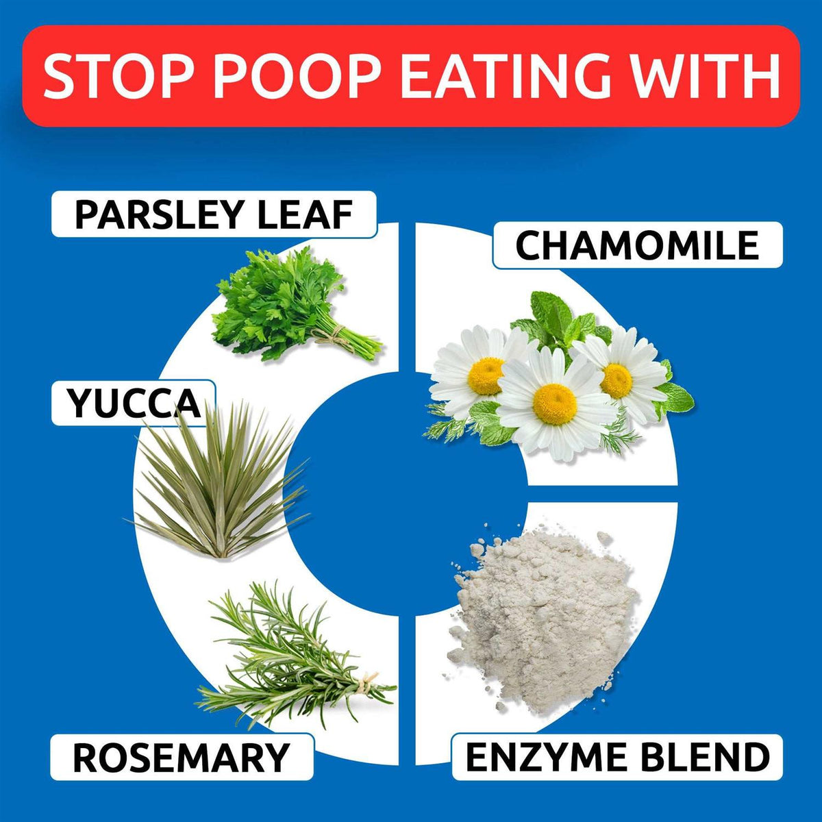 Chew No Poo E668355
