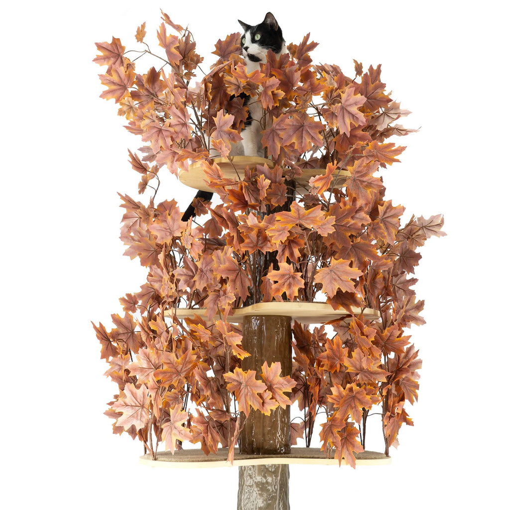 Plum Autumn 60-in Square Cat Tree I8886